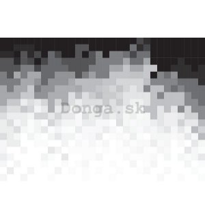 Fototapeta: Čiernobiele pixely (1) - 184x254 cm