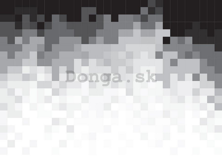 Fototapeta: Čiernobiele pixely (1) - 254x368 cm