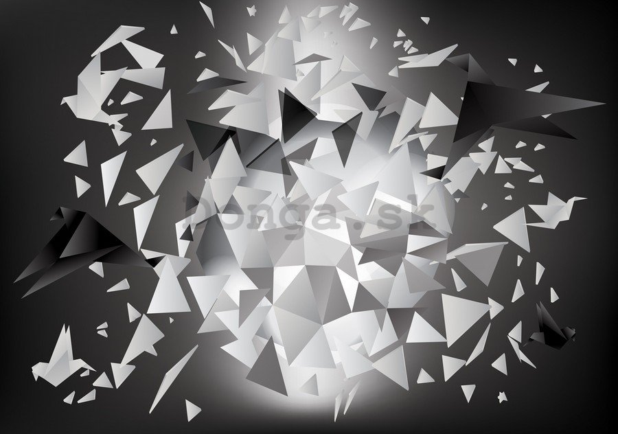 Fototapeta: Čiernobiele origami (1) - 254x368 cm