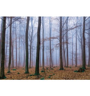 Fototapeta: Hmla v lese (1) - 184x254 cm