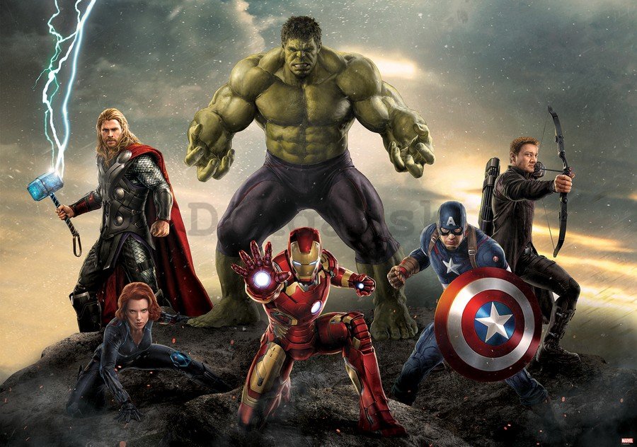 Fototapeta: Avengers (5) - 254x368 cm