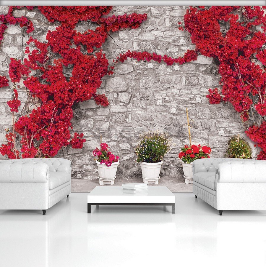 Fototapeta: Červená kvetinová múr - 254x358 cm
