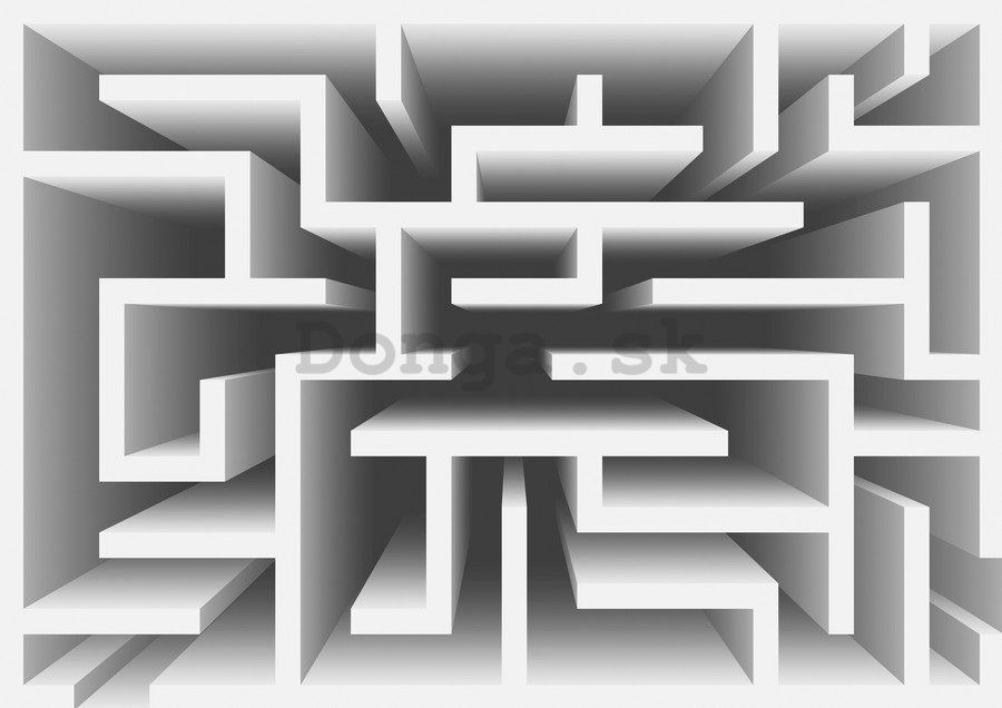 Fototapeta: Labyrint (3) - 184x254 cm