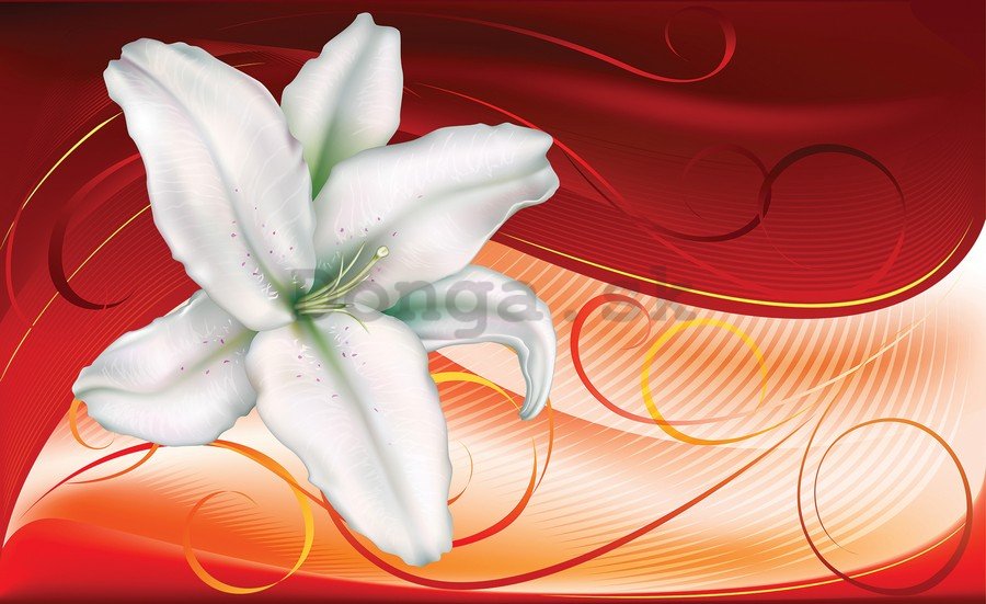 Fototapeta: Farebné kvety (3) - 184x254 cm