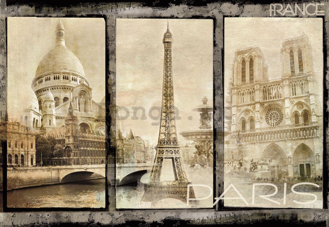 Fototapeta: Paríž (dominanty) - 184x254 cm