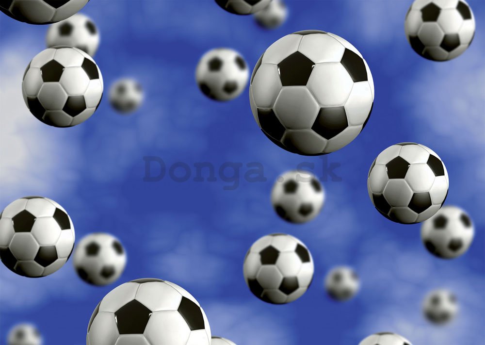 Fototapeta: Futbalové lopty - 184x254 cm
