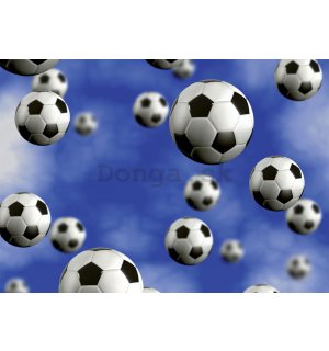 Fototapeta: Futbalové lopty - 184x254 cm