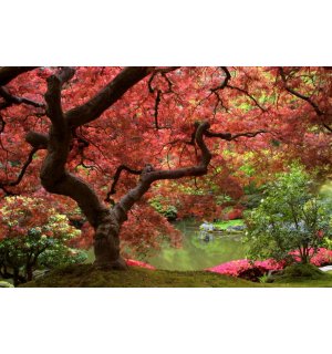 Fototapeta: Kvitnúce strom - 184x254 cm