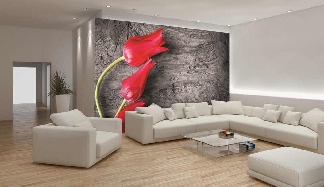 Fototapeta: Červené tulipány - 184x254 cm