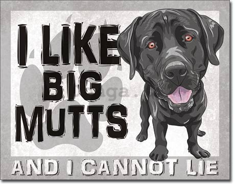 Plechová ceduľa - I Like Big Mutts