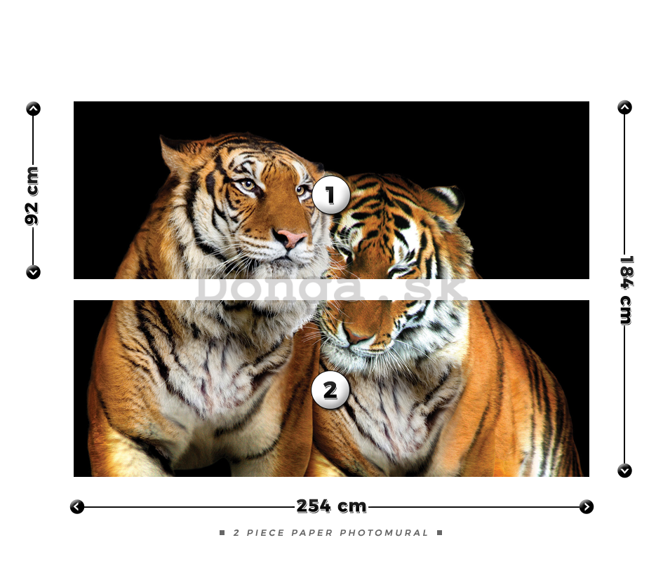 Fototapeta: Dva tigre - 184x254 cm