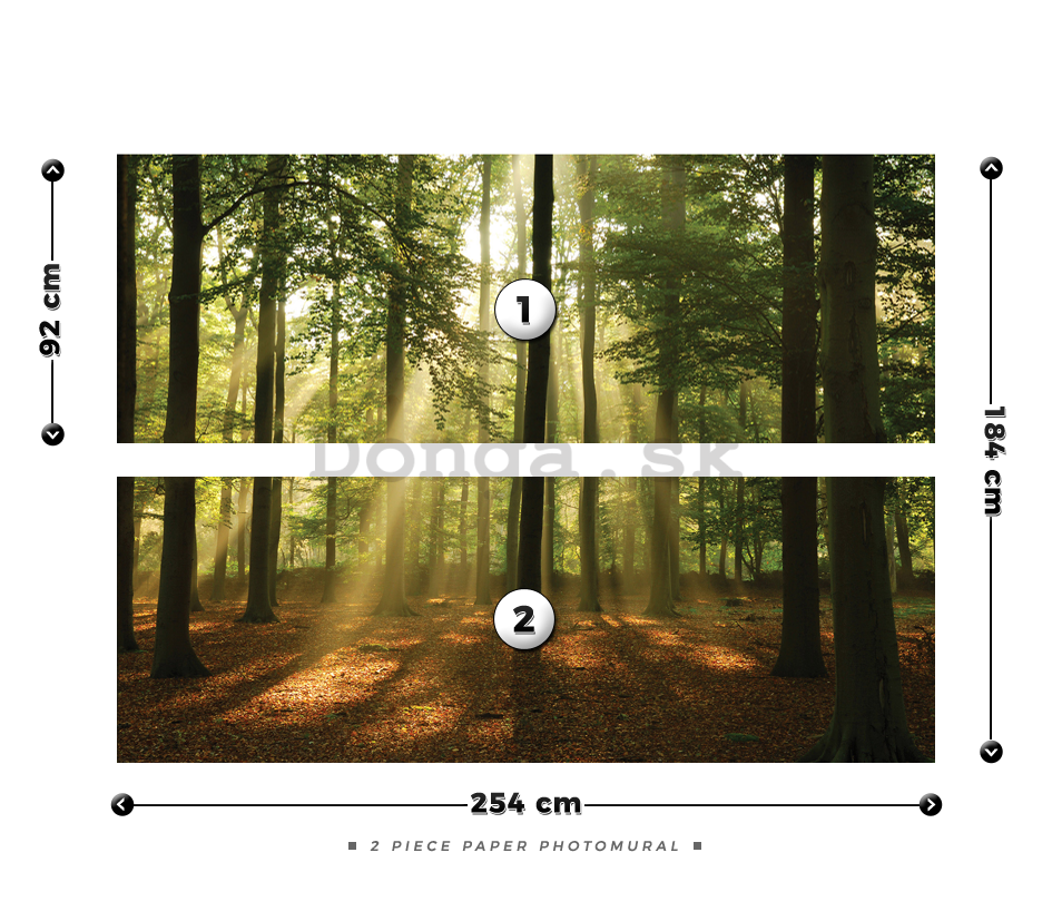 Fototapeta: Slnko v lese (4) - 184x254 cm