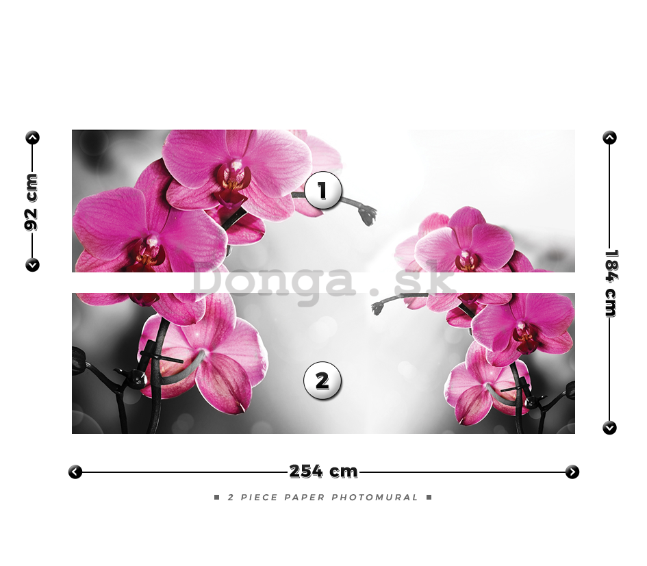 Fototapeta: Orchidea na sivom pozadí - 184x254 cm