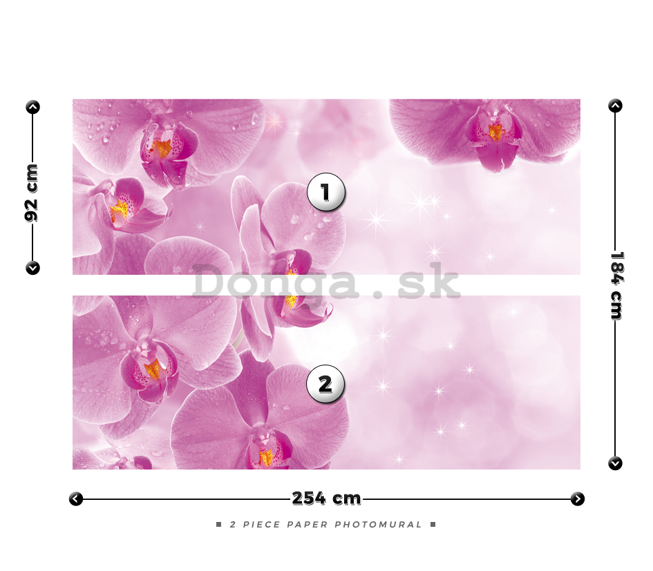 Fototapeta: Orchidey (1) - 184x254 cm