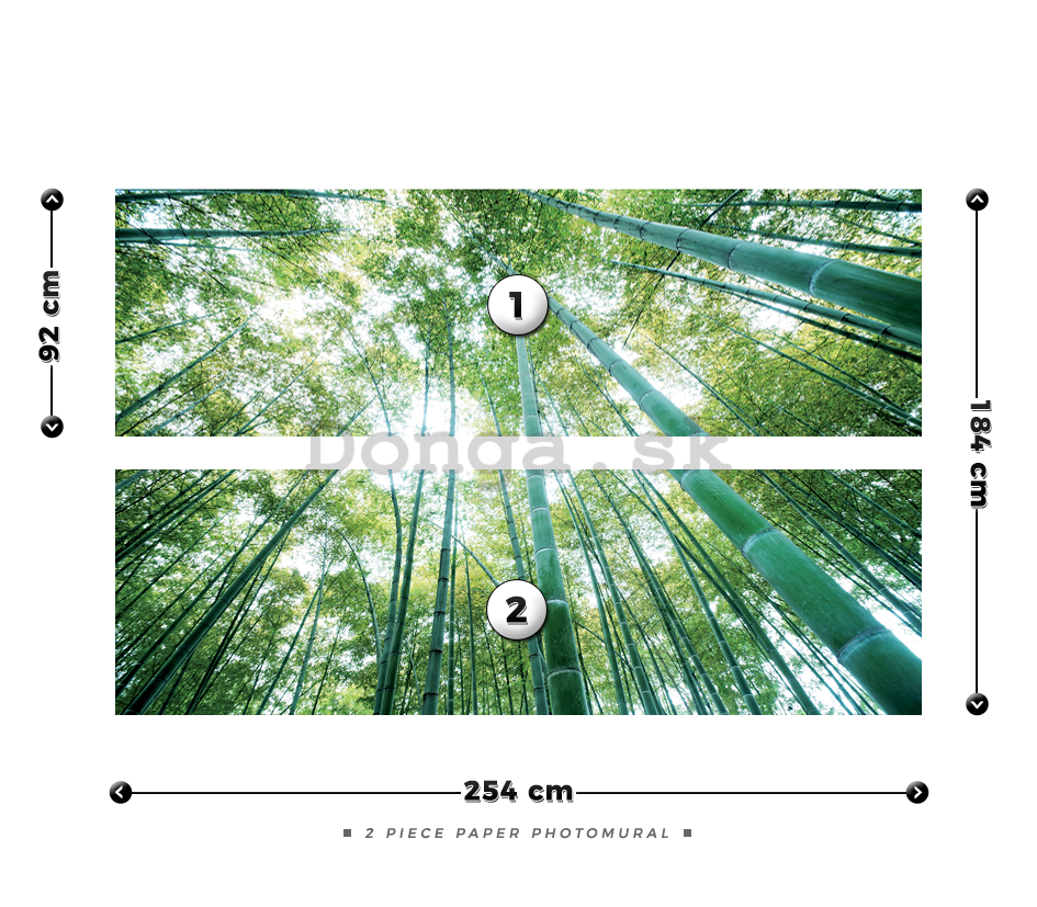 Fototapeta: Les bambusu - 184x254 cm