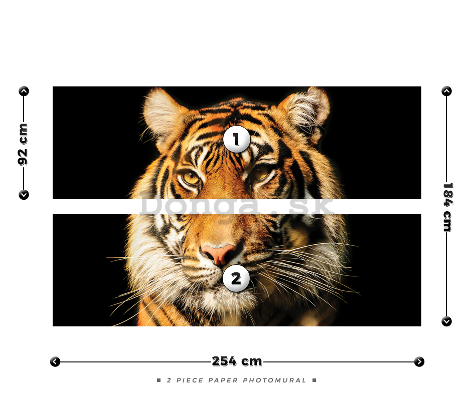 Fototapeta: Tiger - 184x254 cm