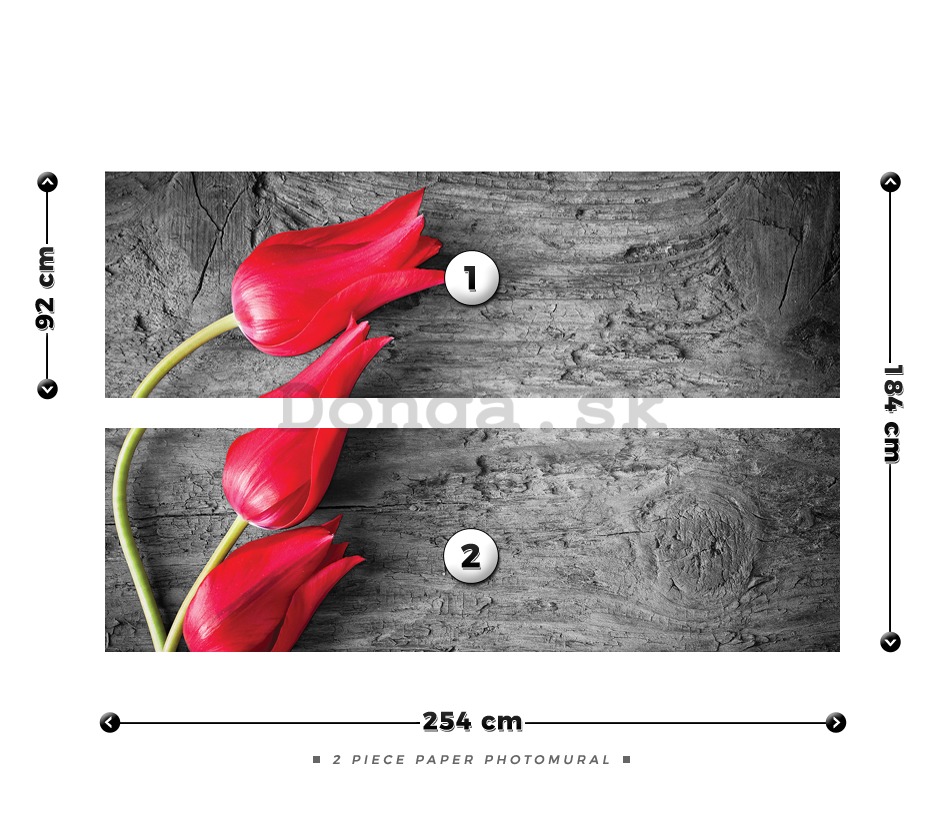 Fototapeta: Červené tulipány - 184x254 cm