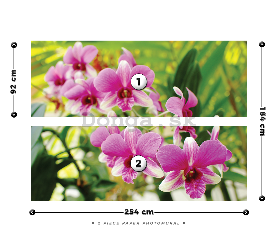 Fototapeta: Orchidea (3) - 184x254 cm