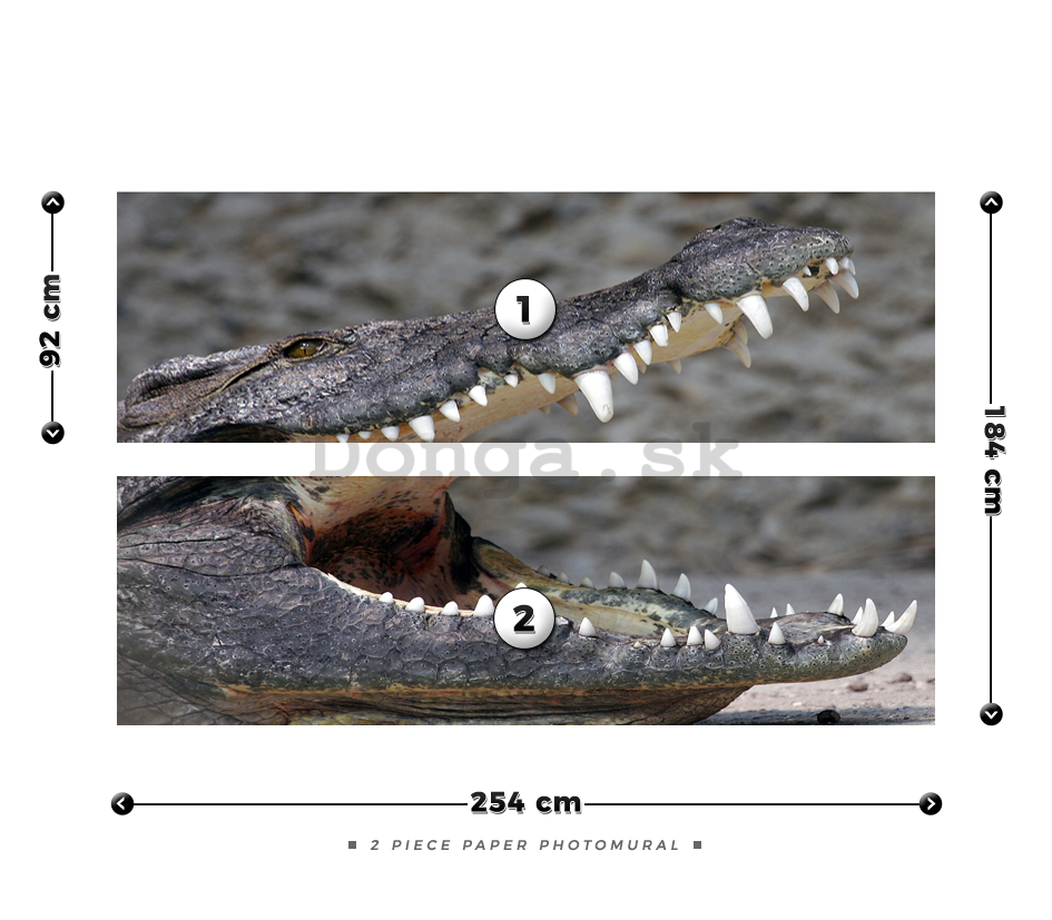 Fototapeta: Krokodíl - 184x254 cm