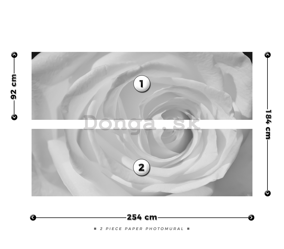 Fototapeta: Biela ruža (detail) - 184x254 cm