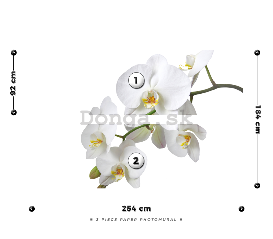 Fototapeta: Biela Orchidea - 184x254 cm