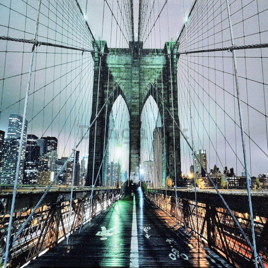 Obraz na plátne - Brooklyn Bridge (detail