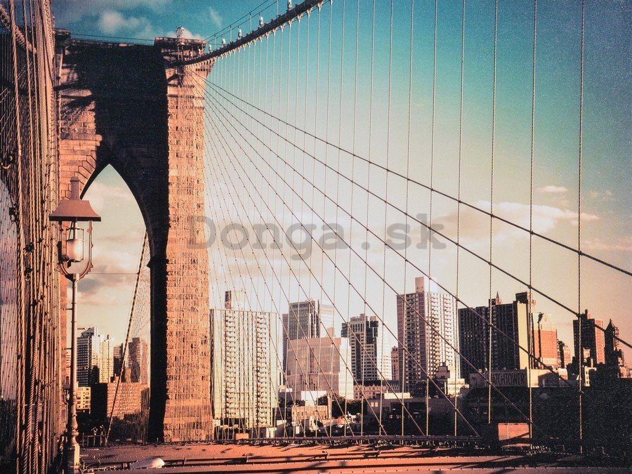 Obraz na plátne - Brooklyn Bridge (sieť)