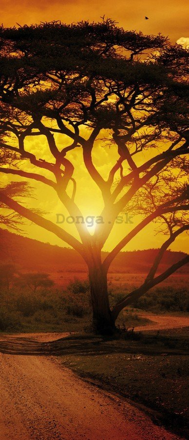 Fototapeta samolepiace: Africký západ slnka - 211x91 cm