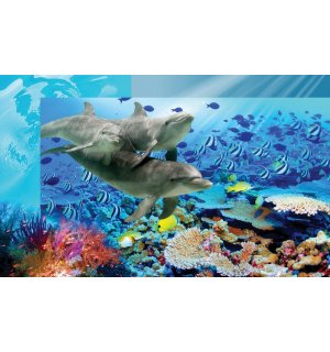 Fototapeta vliesová: Podmorský svet - 152,5x104 cm