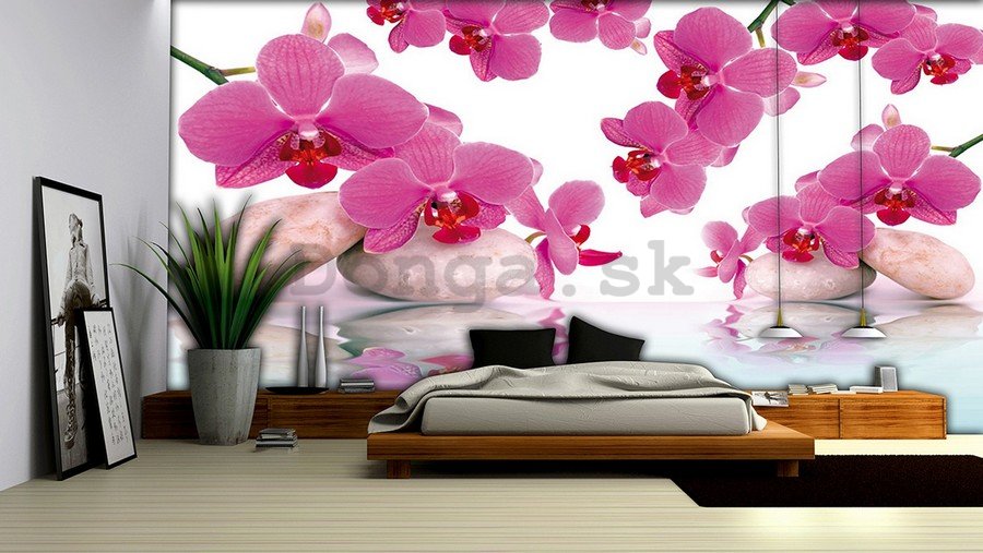 Fototapeta vliesová: Orchidea a kamene - 184x254 cm