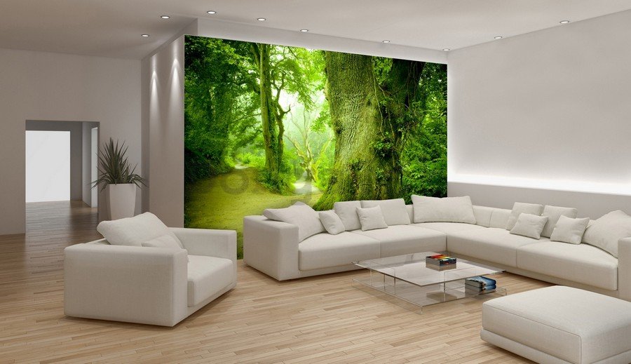 Fototapeta vliesová: Kúzelný les - 184x254 cm