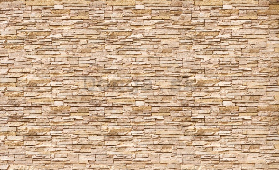 Fototapeta vliesová: Kamenný múr (2) - 184x254 cm