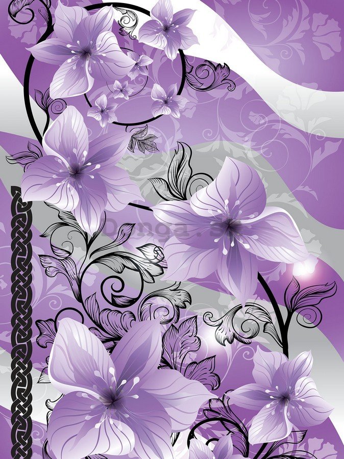 Fototapeta: Fialové kvety - 254x184 cm