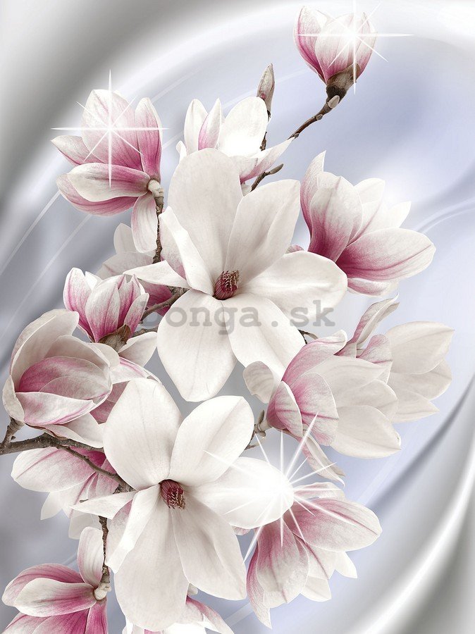 Fototapeta: Magnolia (1) - 254x184 cm
