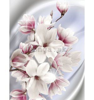 Fototapeta: Magnolia (1) - 254x184 cm