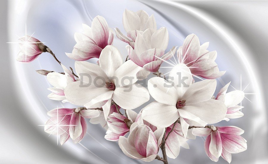 Fototapeta vliesová: Magnolia (1) - 152,5x104 cm