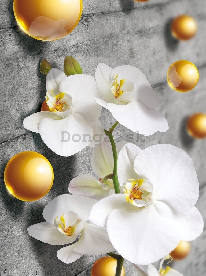 Fototapeta: Orchidea a žlté guličky - 254x184 cm