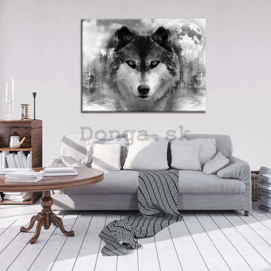 Obraz na plátne: Vlk (3) - 75x100 cm