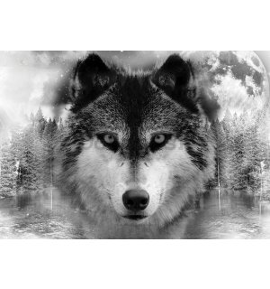 Obraz na plátne: Vlk (3) - 75x100 cm