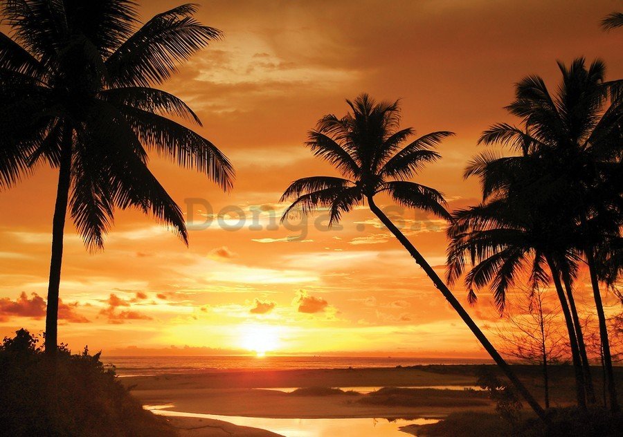 Obraz na plátne: Západ slnka na pláži (2) - 75x100 cm
