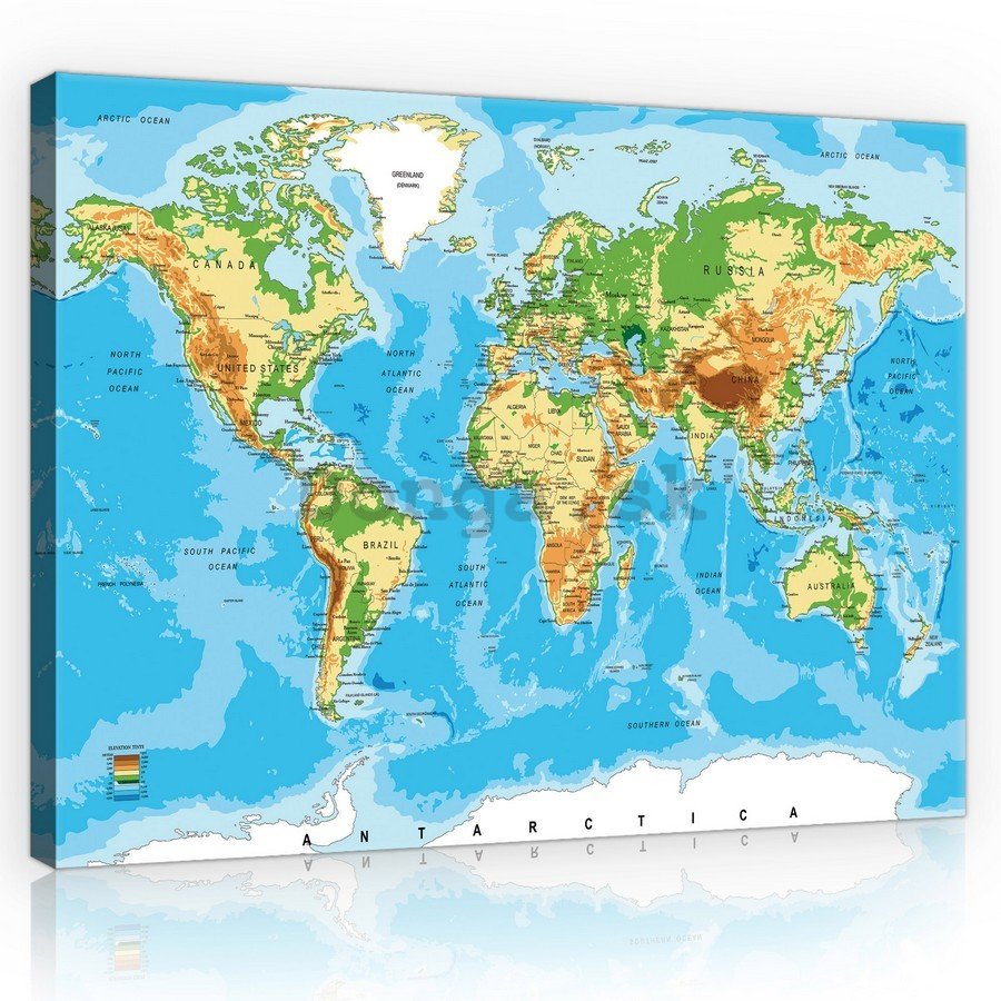 Obraz na plátne: Mapa sveta (3) - 75x100 cm