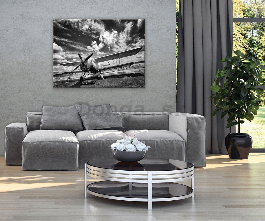 Obraz na plátne: Dvojplošník (čiernobiele) - 75x100 cm