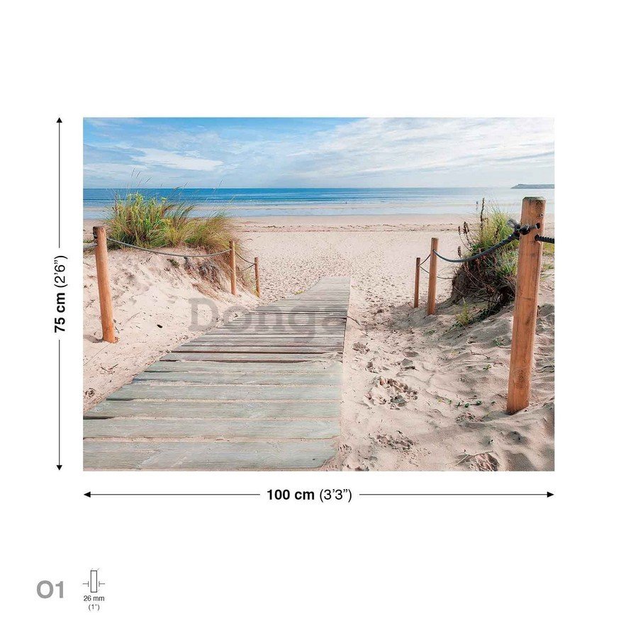 Obraz na plátne: Pláž (3) - 75x100 cm