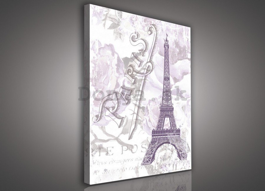 Obraz na plátne: Eiffelova veža (Paríž) - 100x75 cm