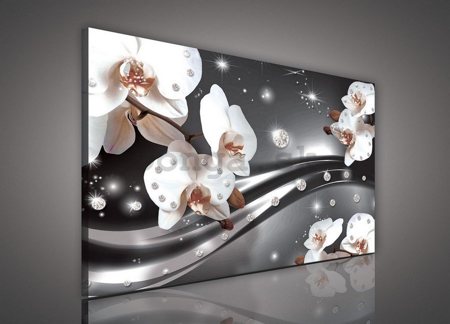 Obraz na plátne: Orchidey a abstrakcia - 75x100 cm