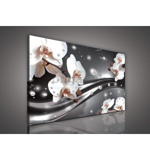 Obraz na plátne: Orchidey a abstrakcia - 75x100 cm