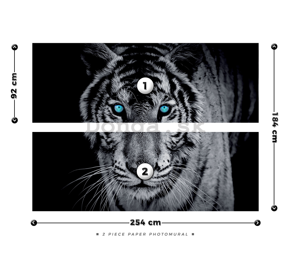 Fototapeta: Čiernobiely tiger - 184x254 cm