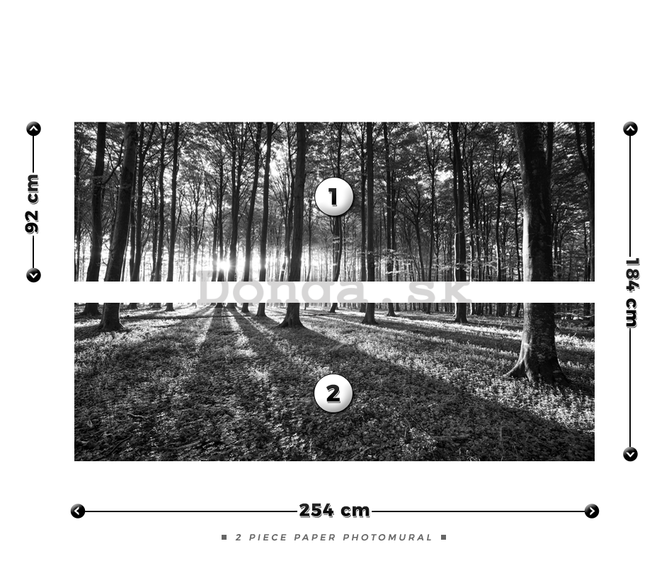 Fototapeta: Čiernobiely les (1) - 184x254 cm