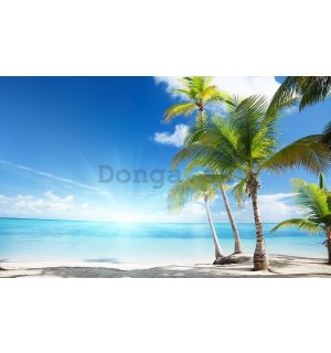 Obraz na plátne: Palmy na pláži - 75x100 cm