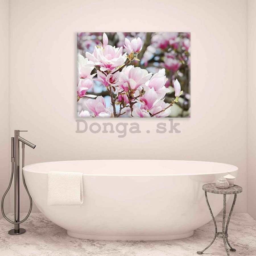 Obraz na plátne: Ružové kvety - 75x100 cm